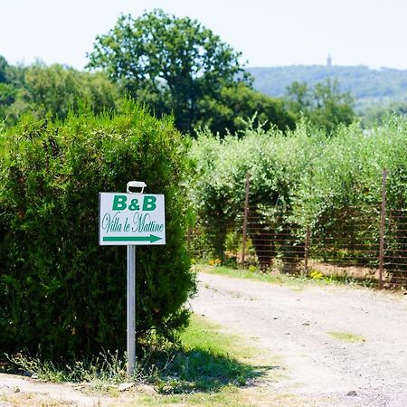 B&B Villa Le Mattine Agropoli Zewnętrze zdjęcie